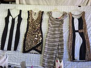 lot 163 image: Womens Bodycon Dresses - Animal and Stripe Prints - Body Central, DGNY - Some Size M