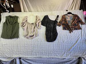 lot 171 image: Womens Blouses in Various Styles and Colors, Size M by Love on a Hanger, Dots, Cleo, 2 Haute