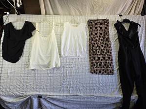 lot 182 image: Womens Clothing Items Including Dresses and Tops Mostly Size L