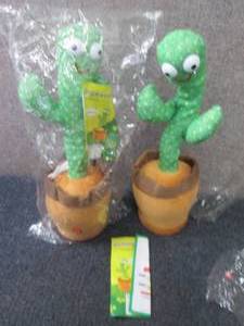 lot 143 image: 2 Dancing Cactus...