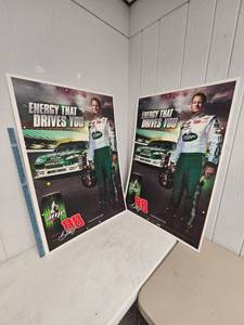 lot 78 image: 2- Dale Earnhardt Jr 42 Plasti-board AMP Advertising