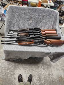 lot 109 image: Daisy & Crossman B.B. Gun Collection(2-Daisy,5-Crossman)