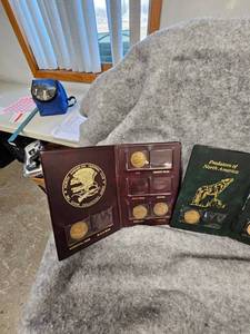 lot 156 image: North American Collector Coins and Video