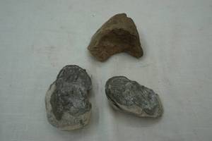 lot 169 image: Collectible Rock Lot