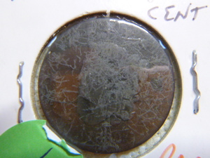 lot 55 image: 1830 Large Cent - Coronet Head