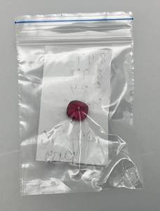 lot 58 image: GGIJ 4.15 Ct. (LAB CREATED) Cushion Cut Red Ruby