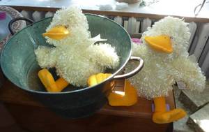 metal bucket planter and 2 plush musical ducks