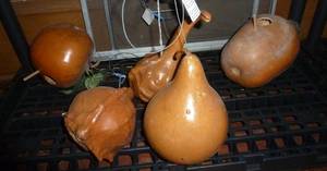 5 gourd bird houses and a wicker shelf