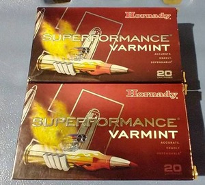 lot 22 image: (2) Hornady 22-250 Ammunition Boxes
