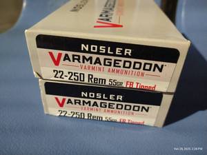lot 69 image: (2) Nosler 22-250 Ammunition Boxes