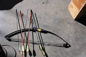 lot 50 image: Archery Compound Bow with 5 Arrows