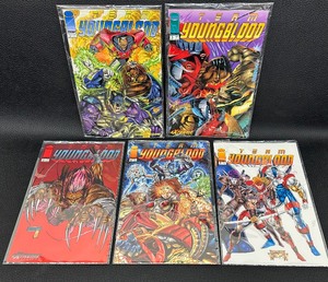 lot 22 image: Comic Books - Team Youngblood - First Year Issues - 1993-1994