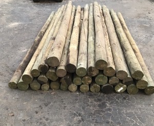 35 - Rough Cut Green Treated Posts  - 4” x 10ft