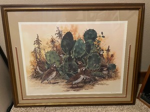 lot 292 image: Framed Print of Quail in a Cactus Bush By Pat Ford - Signed & Numbered #160  700