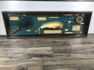 lot 333 image: Wall Decor Fishing Display Case - Fly Fishing - Rainbow Trap