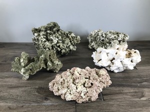 lot 19 image: 5 - Pieces of Corral