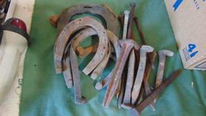 lot 145 image: Horseshoes and Railroad Spikes