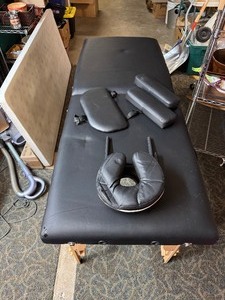 Professional Massage Table with Travel Bag