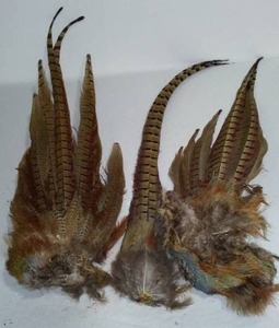 lot 719 image: Pheasant Tails