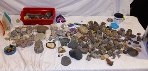 lot 495 image: Rocks for that Rock Enthusiast in your life.