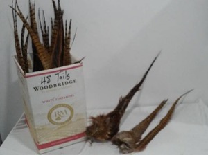 lot 861 image: Pheasant Tails (25)