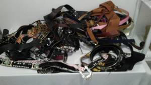 lot 884 image: Belts Galore (Dozens)