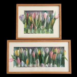lot 65 image: Two Framed Accordion Style Pastel Tulip Paintings