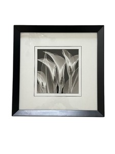 lot 56 image: Petite Delicate Black and White Floral Framed Art