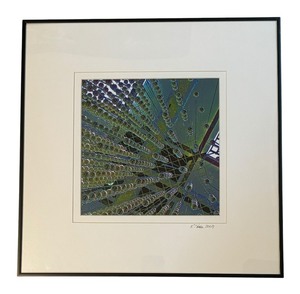 lot 219 image: Ceiling Decor Print by Kathryn A. Hara