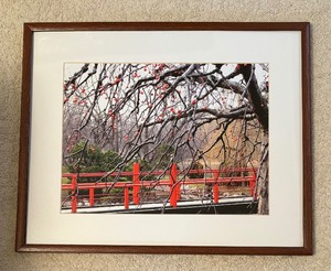 lot 282 image: Beautiful Berry Tree and Bridge Framed Photographic Print