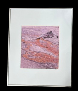 lot 323 image: Driftwood Motif Photographic Print by Kathryn A. Hara