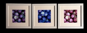 lot 234 image: Framed Wall Photographic Art Red Onion Trio by Katha Hara