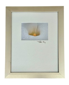 lot 352A image: Petite Pretty Signed Framed Art Print