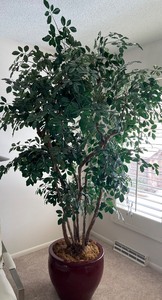 lot 43 image: Large Artificial Ficus Tree with Decorative Pot