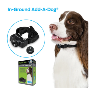 lot 378 image: Premier Pet In-Ground Add-A-Dog Replacement Collar for In-Ground Fence, Adjustable, Black