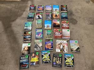 lot 700 image: LOT OF 30 Chapter Books