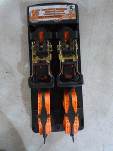lot 31 image: Erickson 15 Ratcheting Tie-Downs