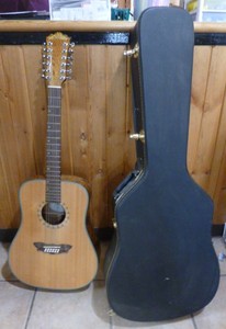 lot 103 image: Washburn 12 String Acoustic Guitar with Case