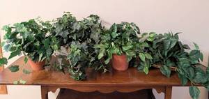 lot 191 image: Decorative Faux Foliage