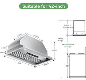 Vikio 42 Built-In Range Hood