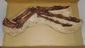 lot 972 image: Allosaurus Dinosaur Arm and Hand Cast Replica.