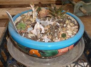 lot 281 image: planter for small cactus etc, 4 fake plants