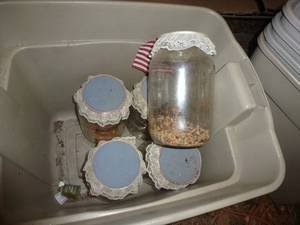 lot 367 image: FIVE gallon jars in a tote