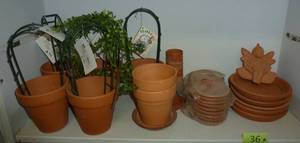 lot 36 image: Shelf full of small terracotta planters