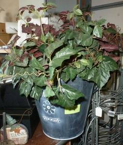 lot 216 image: Metal planter with silks