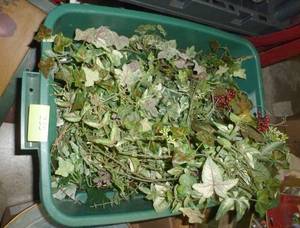 lot 235 image: TOTE Full of greeneryIvy