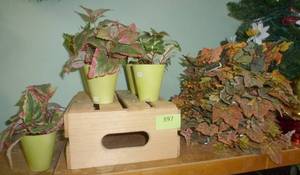 lot 397 image: 5 small silk planters, wood crate and 6 fall color silks