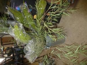 lot 455 image: Metal planter with greenery
