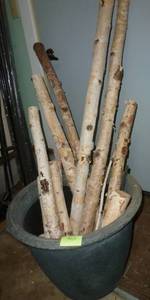 lot 463 image: large planter 20 inch wide 15 tall full of birch limbs
