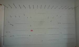 lot 539 image: There is One wall of pegboard 42x78 and one sheet of pegboard 29x62 on the wall in the house - buyer to remove